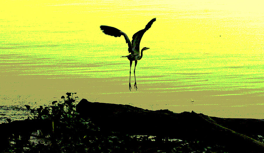 First Flight Digital Art by Joseph Coulombe