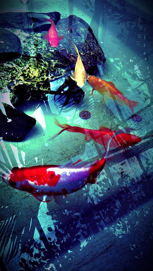 Fish Photograph - Fish #2 by Chris Drake