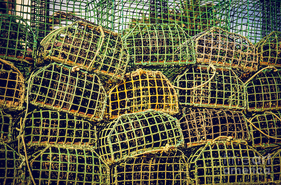 Fish Photograph - Fishing Traps #2 by Carlos Caetano