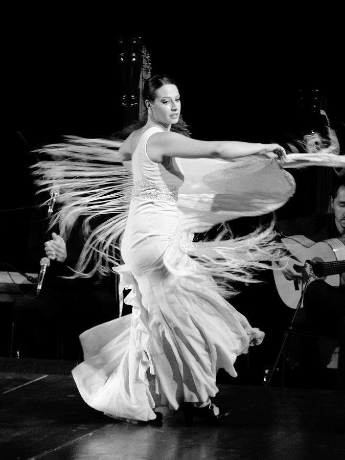 Flowers Still Life Photograph - Flamenco #5 by AM FineArtPrints