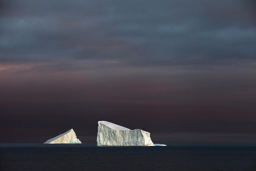 Floating Icebergs In Antarctic Sound Photograph by Krystle Wright ...