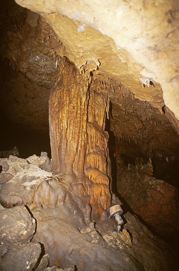 Florida Caverns State Park #2 Photograph by Millard H. Sharp