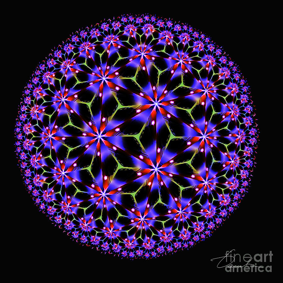 Flower ball #2 Digital Art by Danuta Bennett