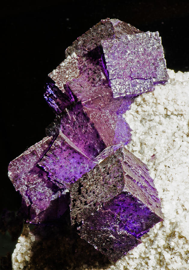 Fluorite Crystals #1 Photograph by Millard H Sharp