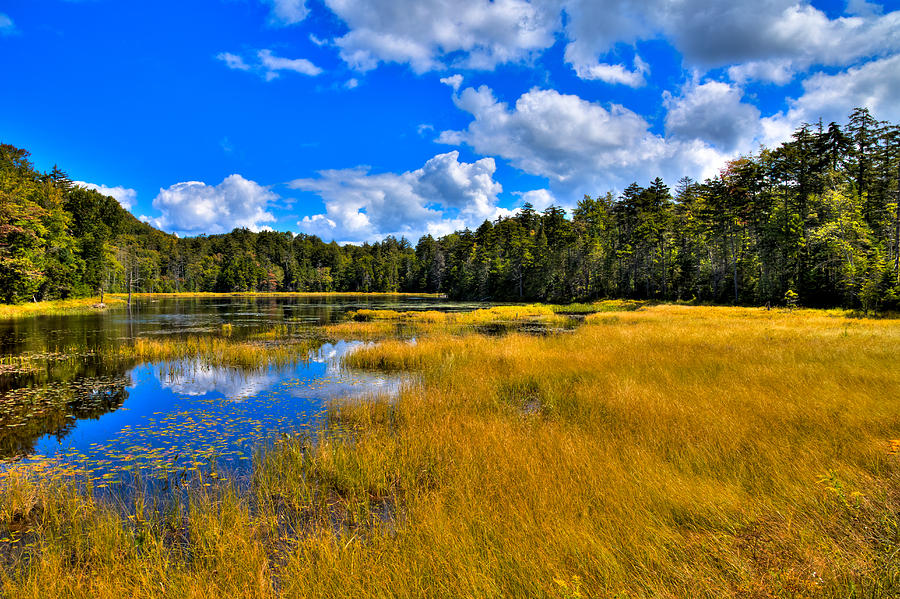Fly Pond in the Adirondacks #2 Photograph by David Patterson