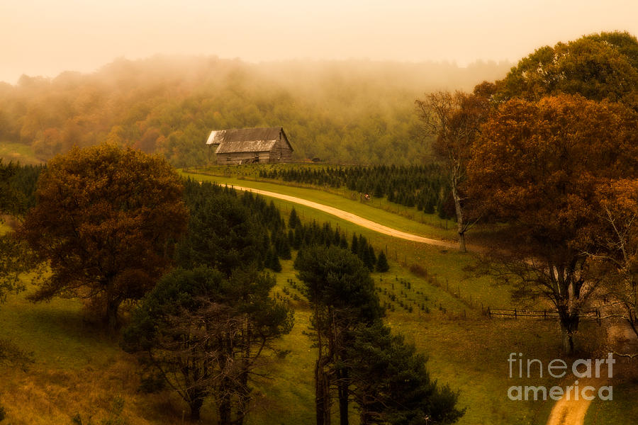 Foggy Autumn Country Road #2 Photograph by Deborah Scannell