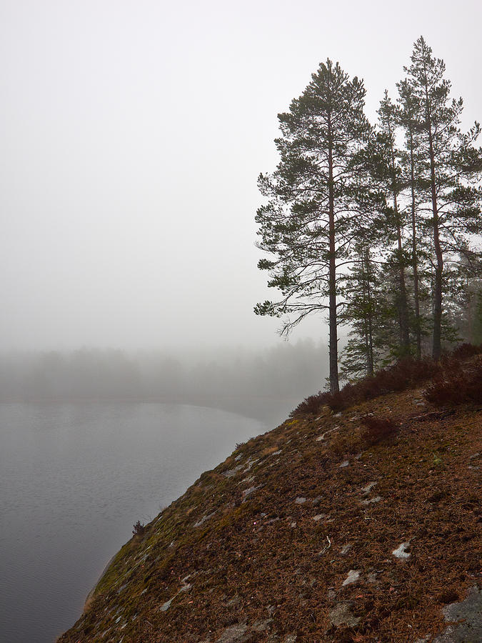 Foggy lake #3 Photograph by Jouko Lehto