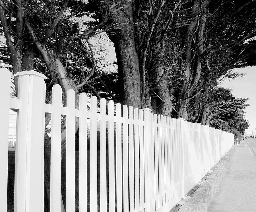 Follow the Fence Photograph by Julie Palencia