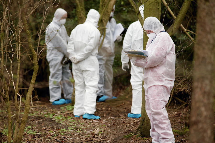 Forensic Training #2 Photograph by Michael Donne/science Photo Library