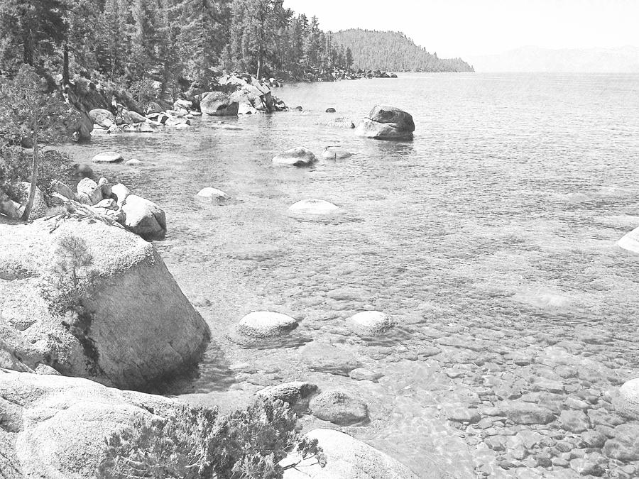 Forested Shores Of Lake Tahoe #2 Photograph by Frank Wilson