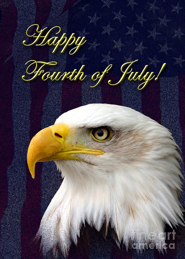 Fourth of July Eagle Photograph by Jeanette K - Fine Art America