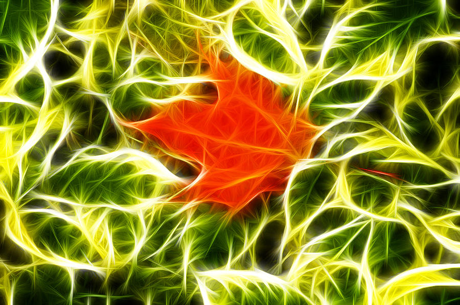 Fractal Maple Leaf #2 Photograph by Prince Andre Faubert