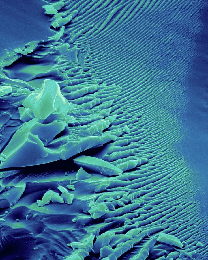 Fractured Glass Edge And Surface #2 Photograph by Dennis Kunkel Microscopy/science Photo Library