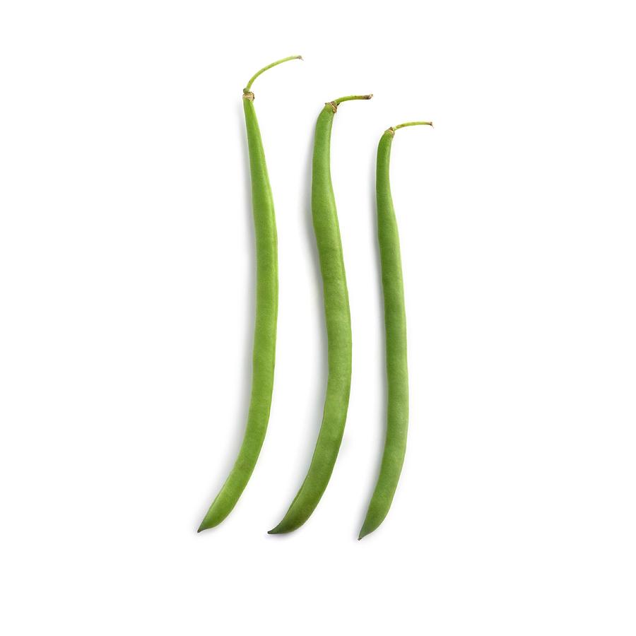 French Beans Photograph by Science Photo Library Fine Art America
