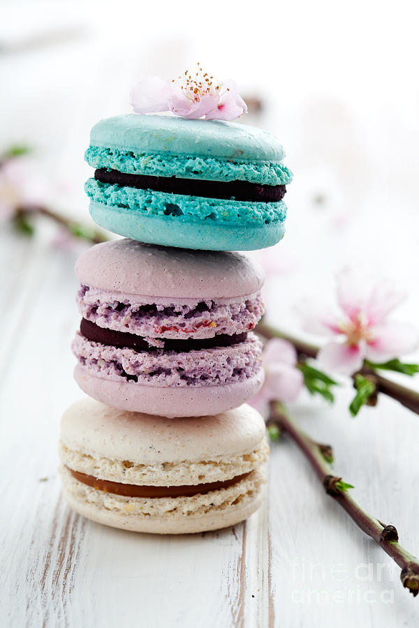 Cake Photograph - French macaroons #2 by Kati Finell