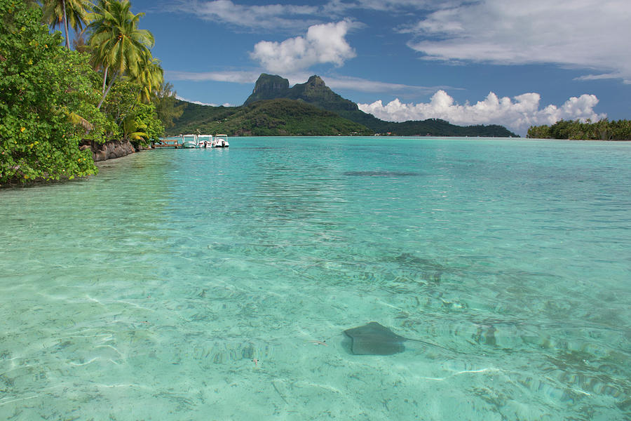 French Polynesia, Society Islands Photograph by Cindy Miller Hopkins ...