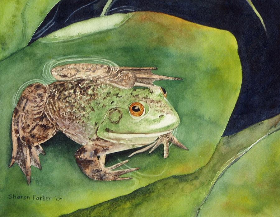 Frog On Lily Pad Painting By Sharon Farber