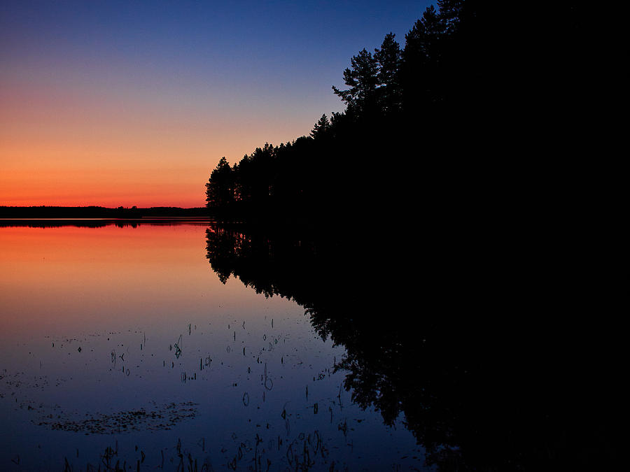 Froggy sunset #2 Photograph by Jouko Lehto