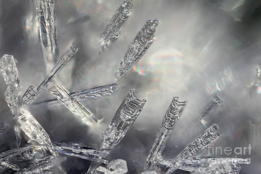 Frost Crystals Photograph by Marianne Jensen