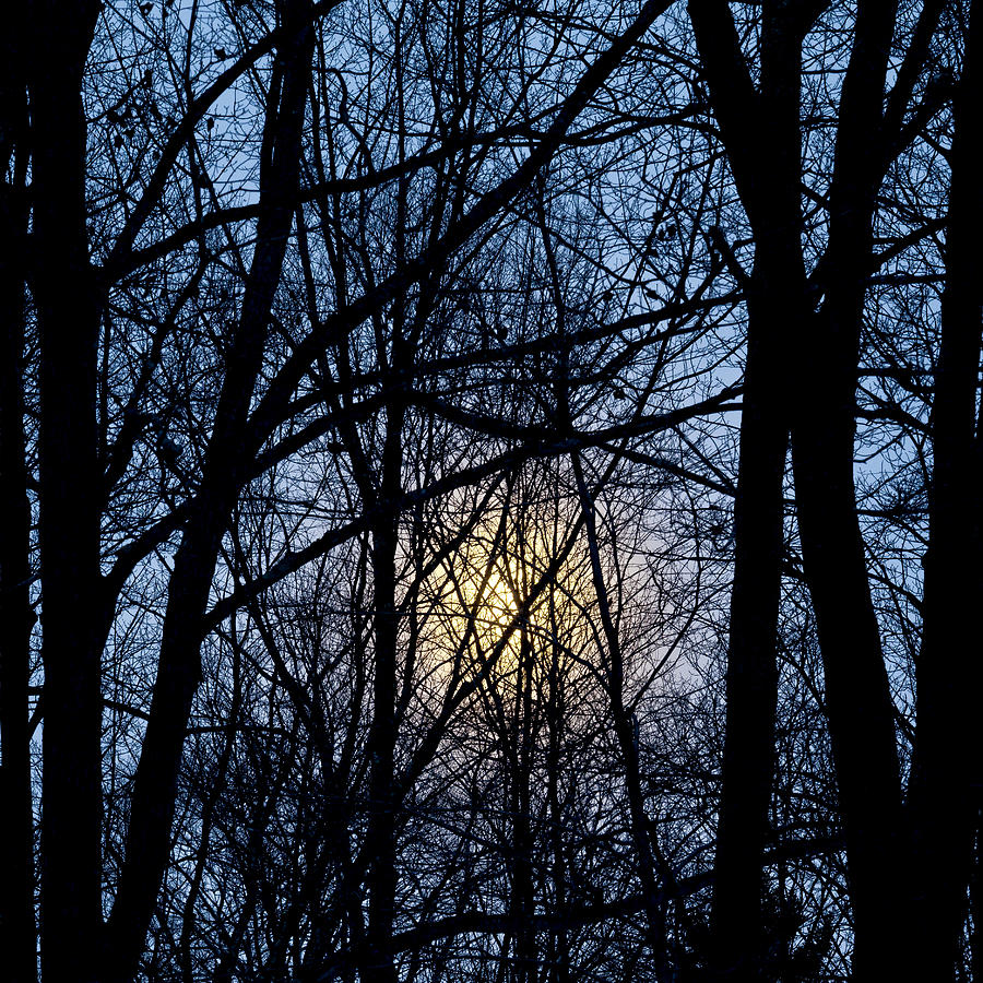 Frosted Winter Moon Photograph by Alan L Graham