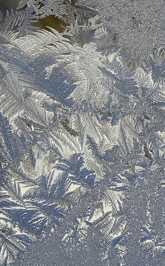 Frosty Patterns #2 Photograph by Kathleen Luther