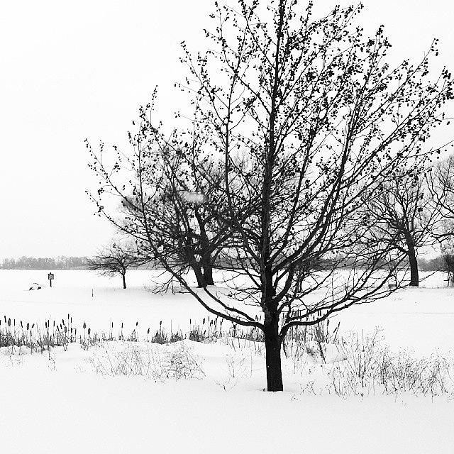Detroit Photograph - Frozen Orchard Lake, Michigan #detroit #2 by Fotochoice Photography