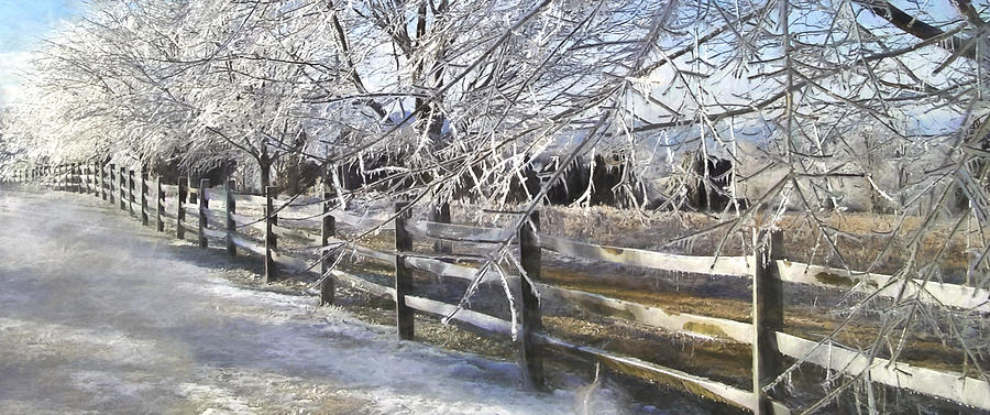 Winter Photograph - Frozen by Kathy Jennings