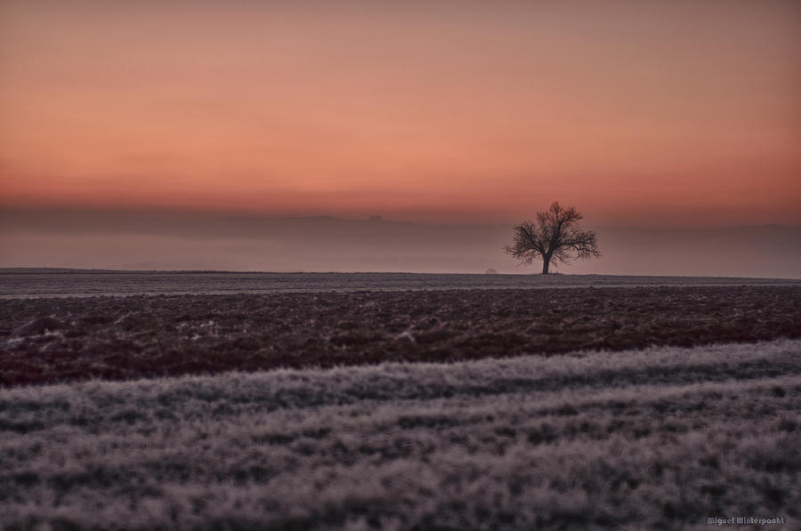 Frozen Time #1 Photograph by Miguel Winterpacht