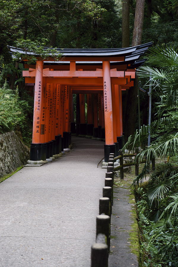 Fushimi Inari Taisha Photograph by Robert Freed - Fine Art America