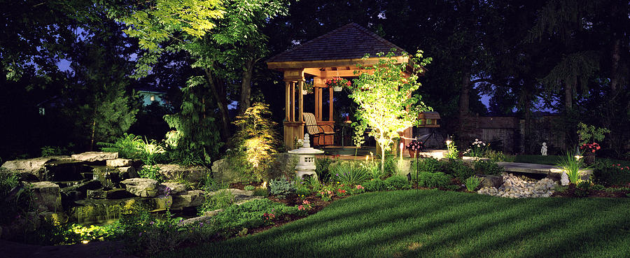 Garden at Night #2 Photograph by Sisoje