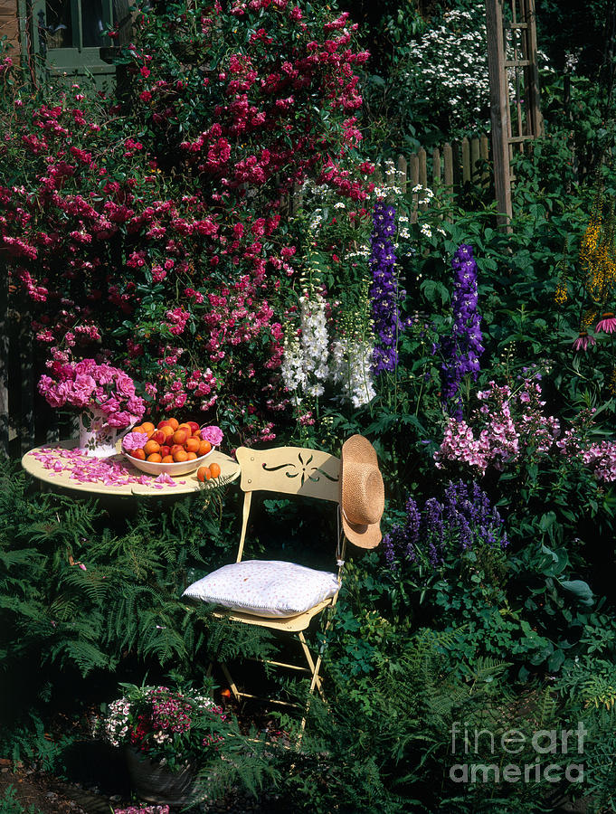 Flowers Still Life Photograph - Garden With Chair #2 by Hans Reinhard