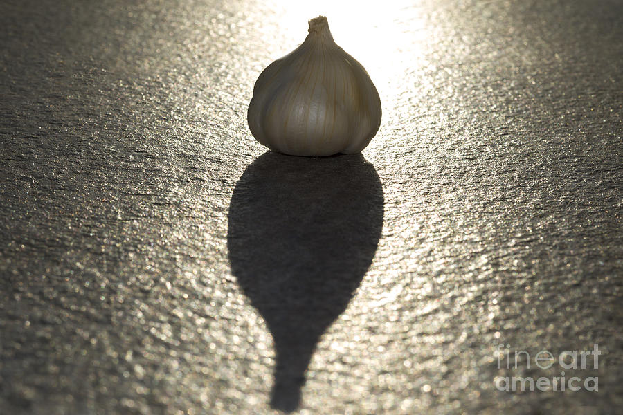 Vegetable Photograph - Garlic #2 by Mats Silvan