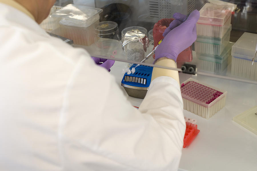 Genetics Researcher Using Pipette #2 Photograph by Science Stock Photography