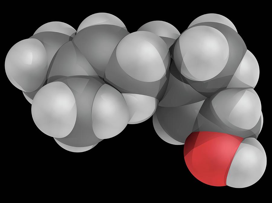 Geraniol Molecule Photograph by Laguna Design/science Photo Library