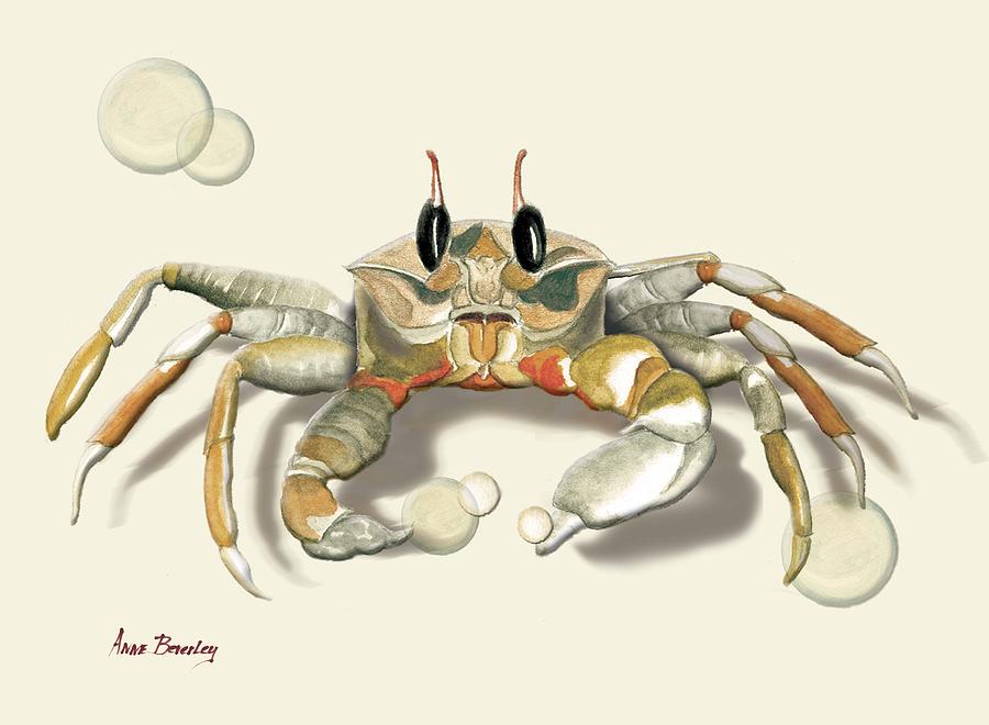 Ghost Crab #2 Painting by Anne Beverley-Stamps