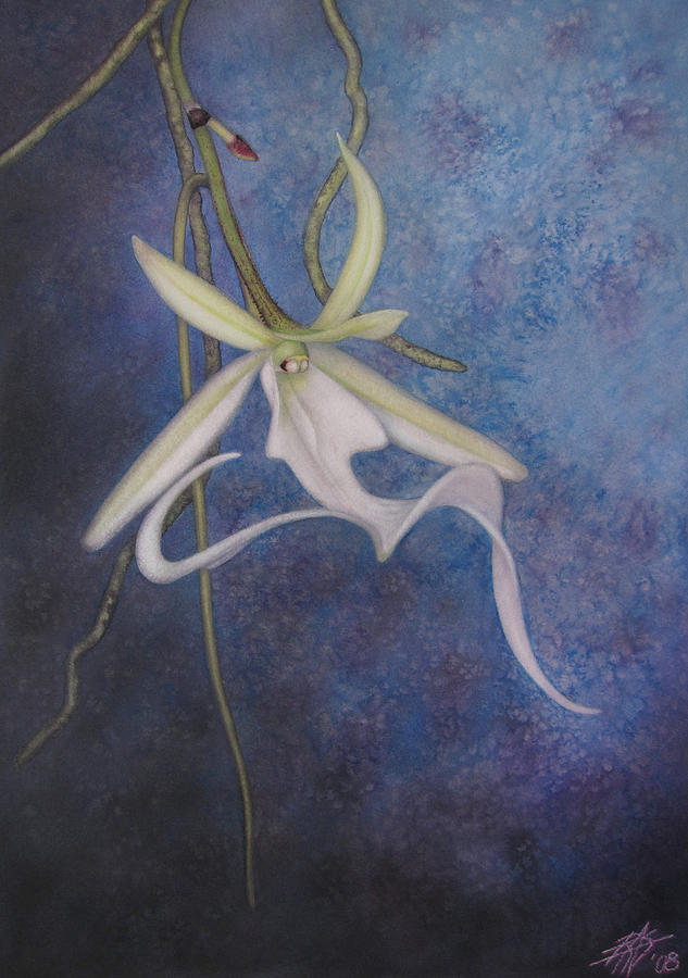 Ghost Orchid II #2 Painting by Robin Street-Morris
