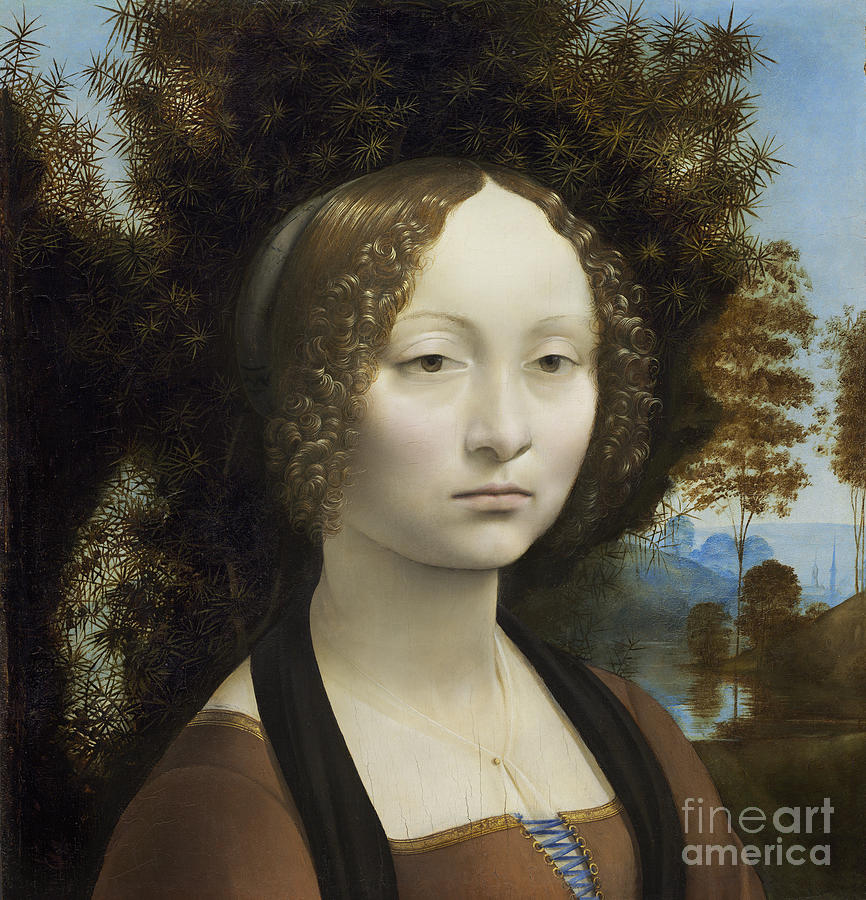 Leonardo Da Vinci Painting - Ginevra de Benci by Leonardo Da Vinci