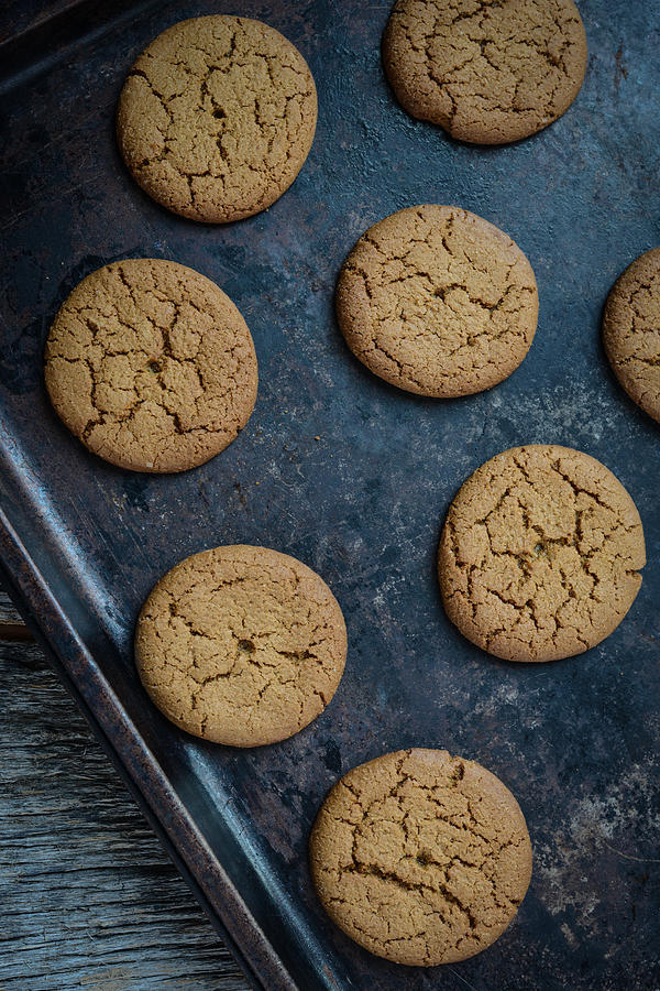 Christmas Photograph - Gingersnap cookies for Christmas on a Baking Pan #2 by Brandon Bourdages