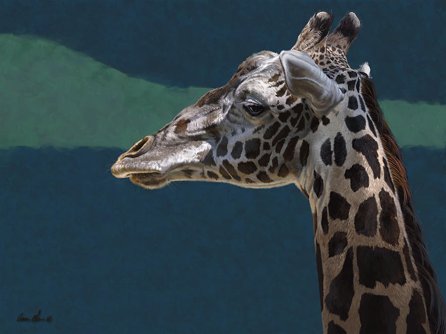 Giraffe Digital Art - Giraffe by Aaron Blaise