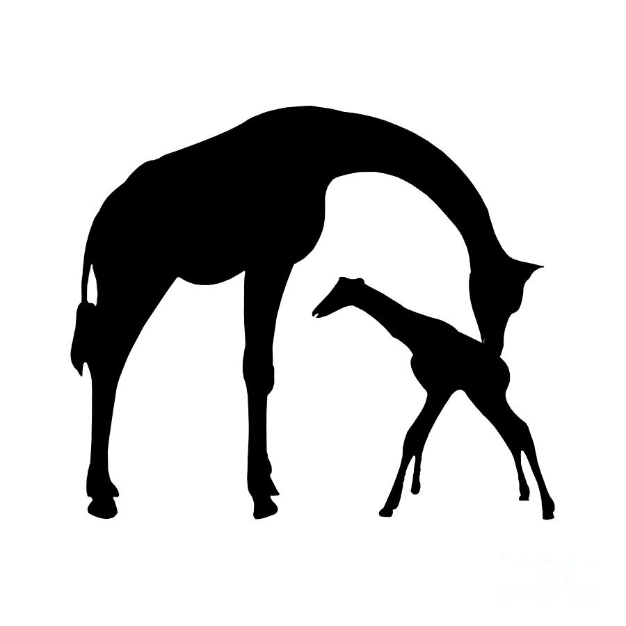 Animal Digital Art - Giraffe in Black and White #2 by Jackie Farnsworth