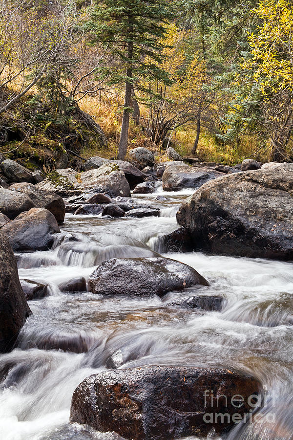 Glacier Creek in Rocky Mountain National Park #2 Photograph by Fred Stearns