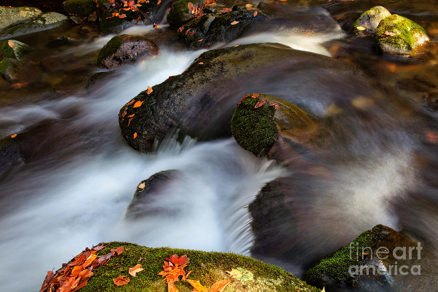 Autumn Foliage Photograph - Glistening Rocks #2 by Deborah Scannell