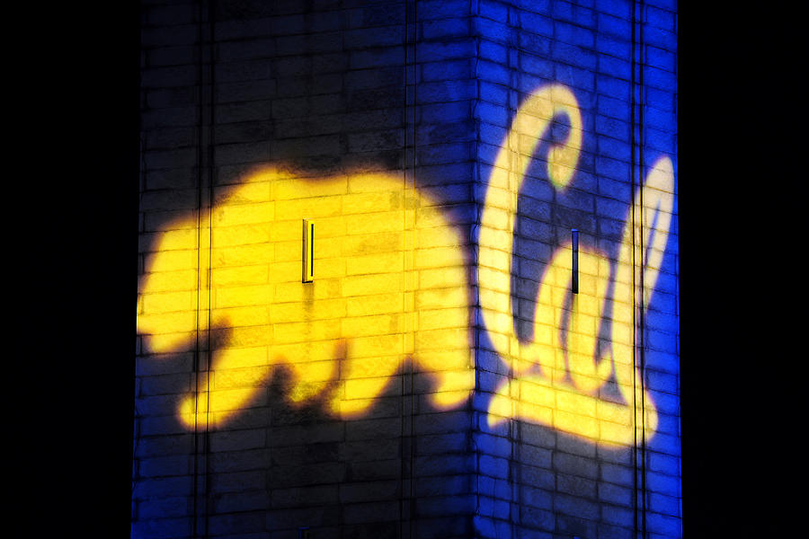 Golden Bear and Cal Logo #2 Photograph by Joel Thai