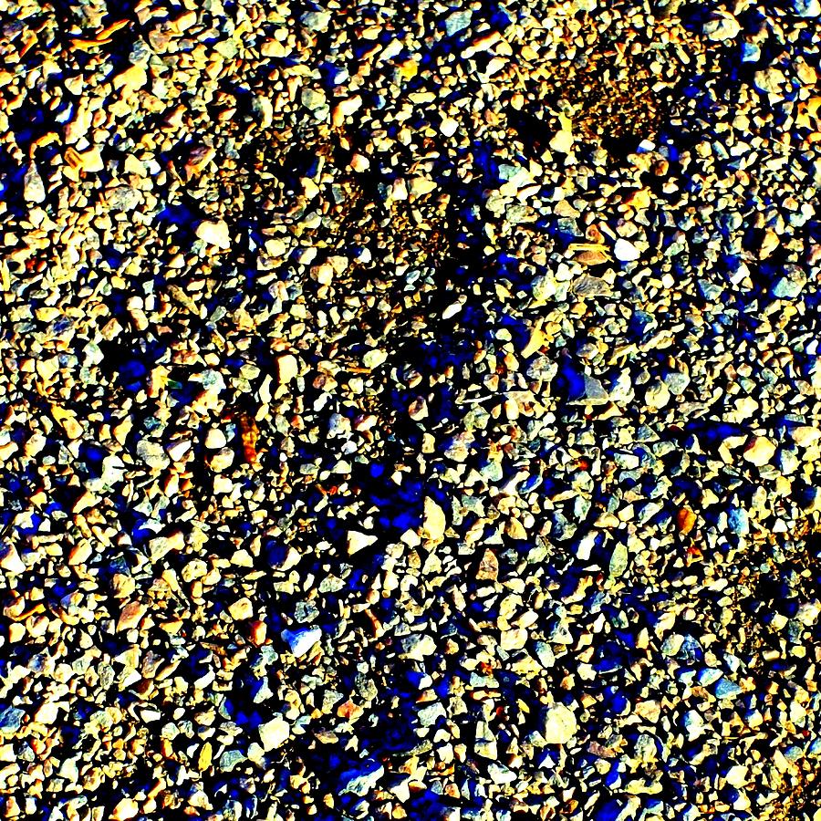 Golden Pebbles Photograph by Liza Dey