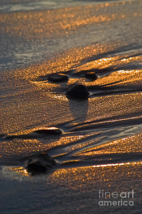 Golden sand  #1 Photograph by Heiko Koehrer-Wagner