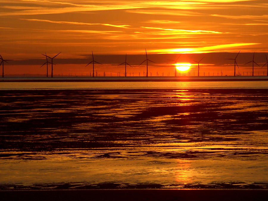Golden sunset over a wind farm Photograph by Steve Kearns