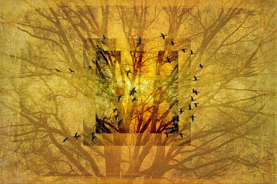 Gold Tree Of Life Photograph by Suzanne Powers