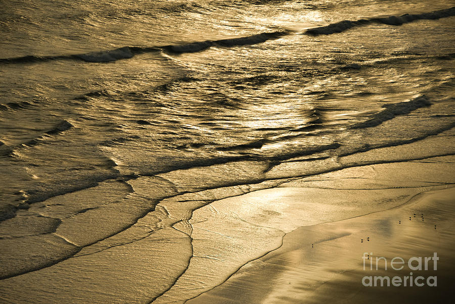 Golden Waves Photograph