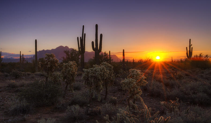 Good Morning Arizona  #2 Photograph by Saija Lehtonen