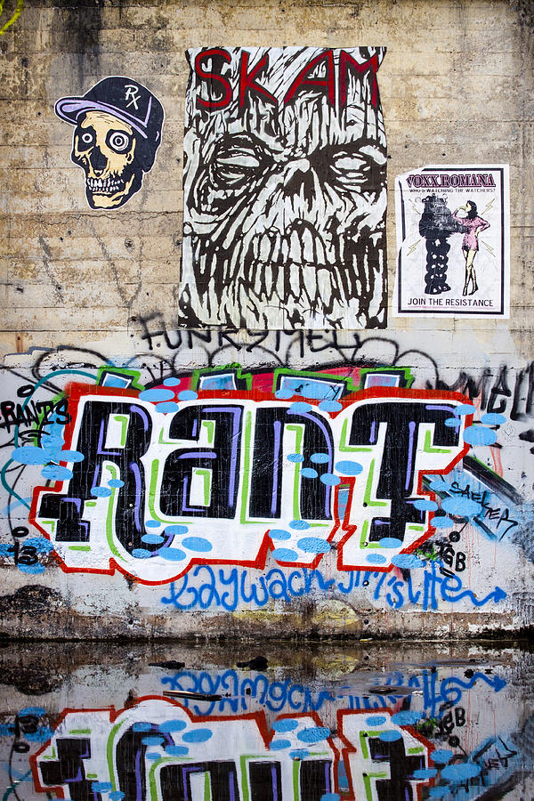 Skull Photograph - Graffiti #2 by Carol Leigh